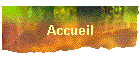 Accueil